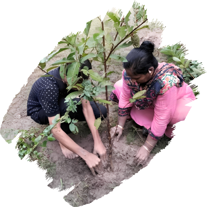 Environmental Conservation 1